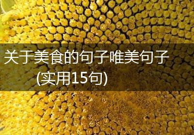 关于美食的句子唯美句子(实用15句)