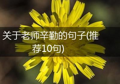 关于老师辛勤的句子(推荐10句)
