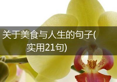关于美食与人生的句子(实用21句)