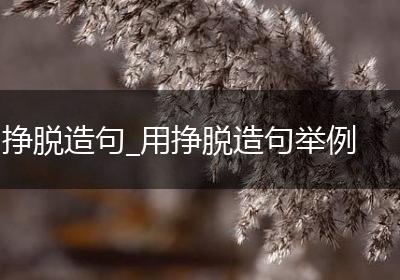 挣脱造句_用挣脱造句举例