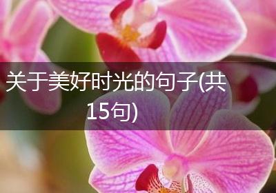 关于美好时光的句子(共15句)