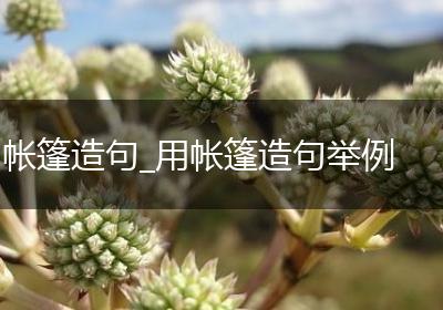 帐篷造句_用帐篷造句举例