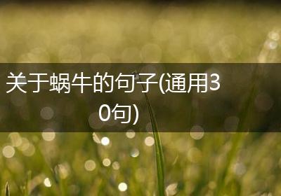 关于蜗牛的句子(通用30句)