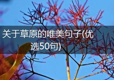 关于草原的唯美句子(优选50句)