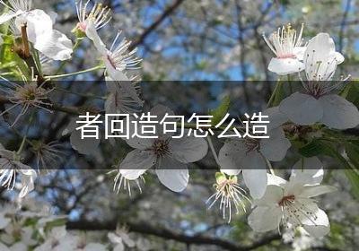 者回造句怎么造