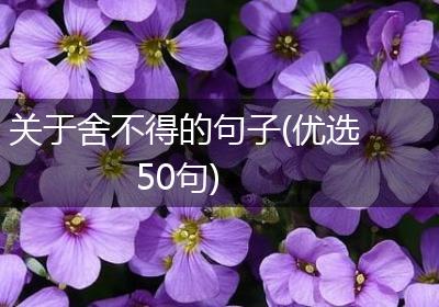 关于舍不得的句子(优选50句)