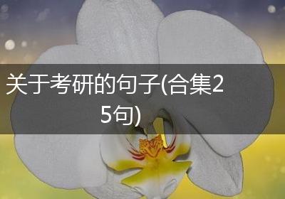 关于考研的句子(合集25句)