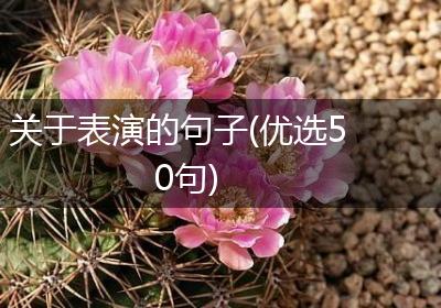 关于表演的句子(优选50句)