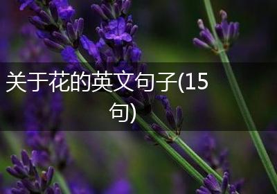 关于花的英文句子(15句)
