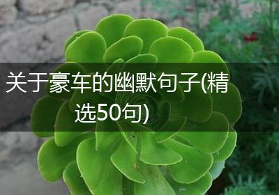 关于豪车的幽默句子(精选50句)