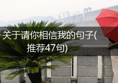 关于请你相信我的句子(推荐47句)