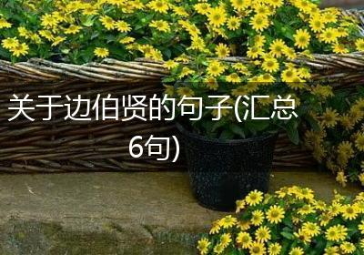 关于边伯贤的句子(汇总6句)