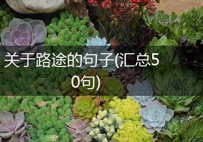 关于路途的句子(汇总50句)
