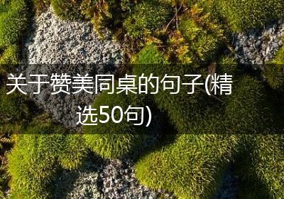 关于赞美同桌的句子(精选50句)