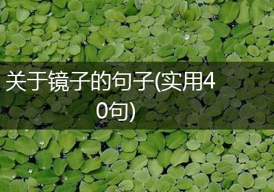 关于镜子的句子(实用40句)