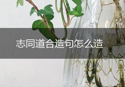 志同道合造句怎么造