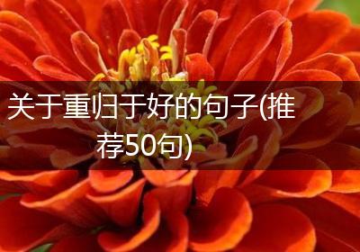 关于重归于好的句子(推荐50句)