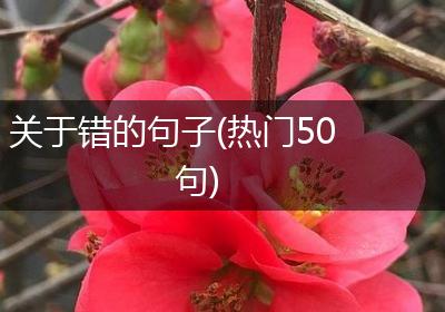 关于错的句子(热门50句)