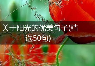 关于阳光的优美句子(精选50句)