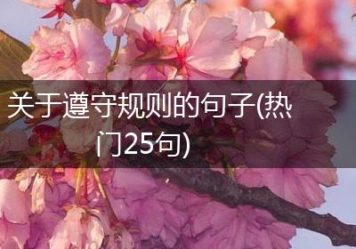 关于遵守规则的句子(热门25句)