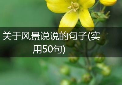 关于风景说说的句子(实用50句)