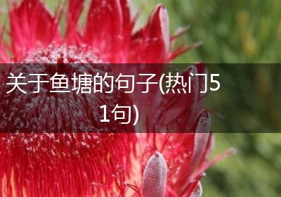 关于鱼塘的句子(热门51句)