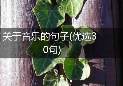 关于音乐的句子(优选30句)