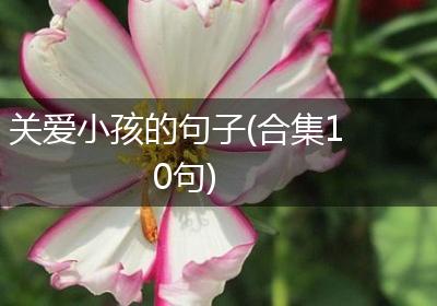 关爱小孩的句子(合集10句)