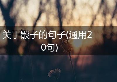 关于骰子的句子(通用20句)