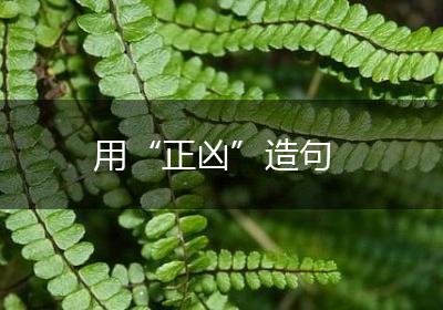 用“正凶”造句