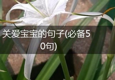关爱宝宝的句子(必备50句)