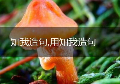 知我造句,用知我造句