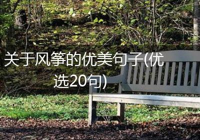 关于风筝的优美句子(优选20句)