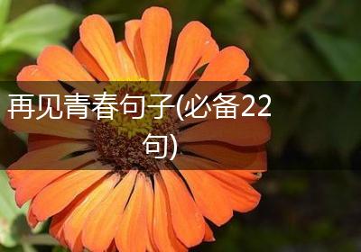 再见青春句子(必备22句)