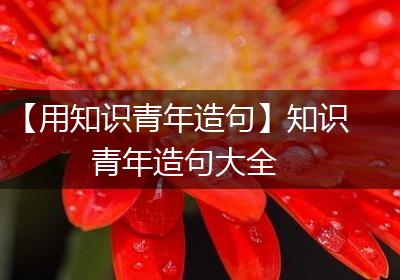 【用知识青年造句】知识青年造句大全