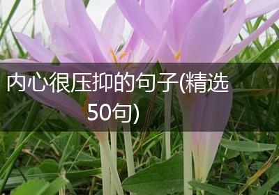 内心很压抑的句子(精选50句)