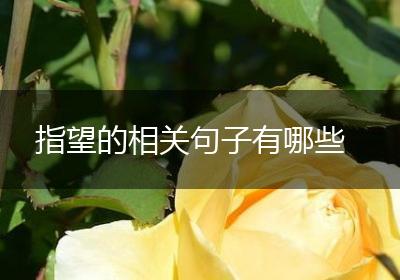 指望的相关句子有哪些
