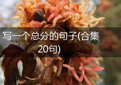 写一个总分的句子(合集20句)