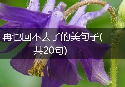 再也回不去了的美句子(共20句)