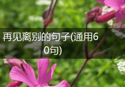 再见离别的句子(通用60句)