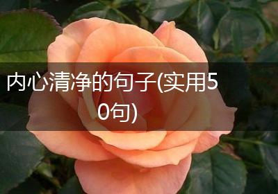 内心清净的句子(实用50句)
