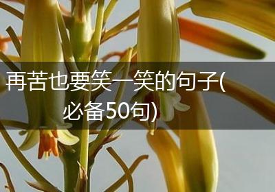 再苦也要笑一笑的句子(必备50句)