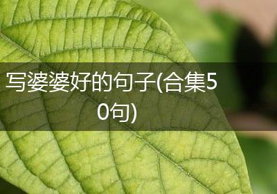 写婆婆好的句子(合集50句)