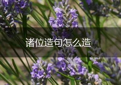 诸位造句怎么造