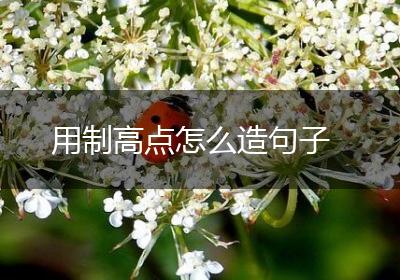 用制高点怎么造句子