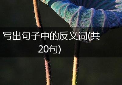 写出句子中的反义词(共20句)