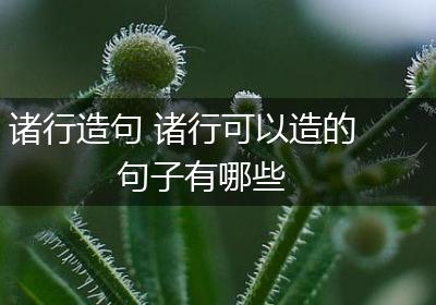 诸行造句 诸行可以造的句子有哪些