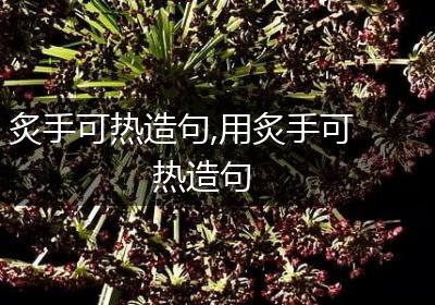 炙手可热造句,用炙手可热造句