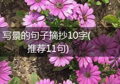 写景的句子摘抄10字(推荐11句)