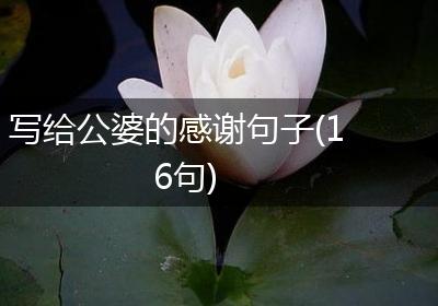 写给公婆的感谢句子(16句)